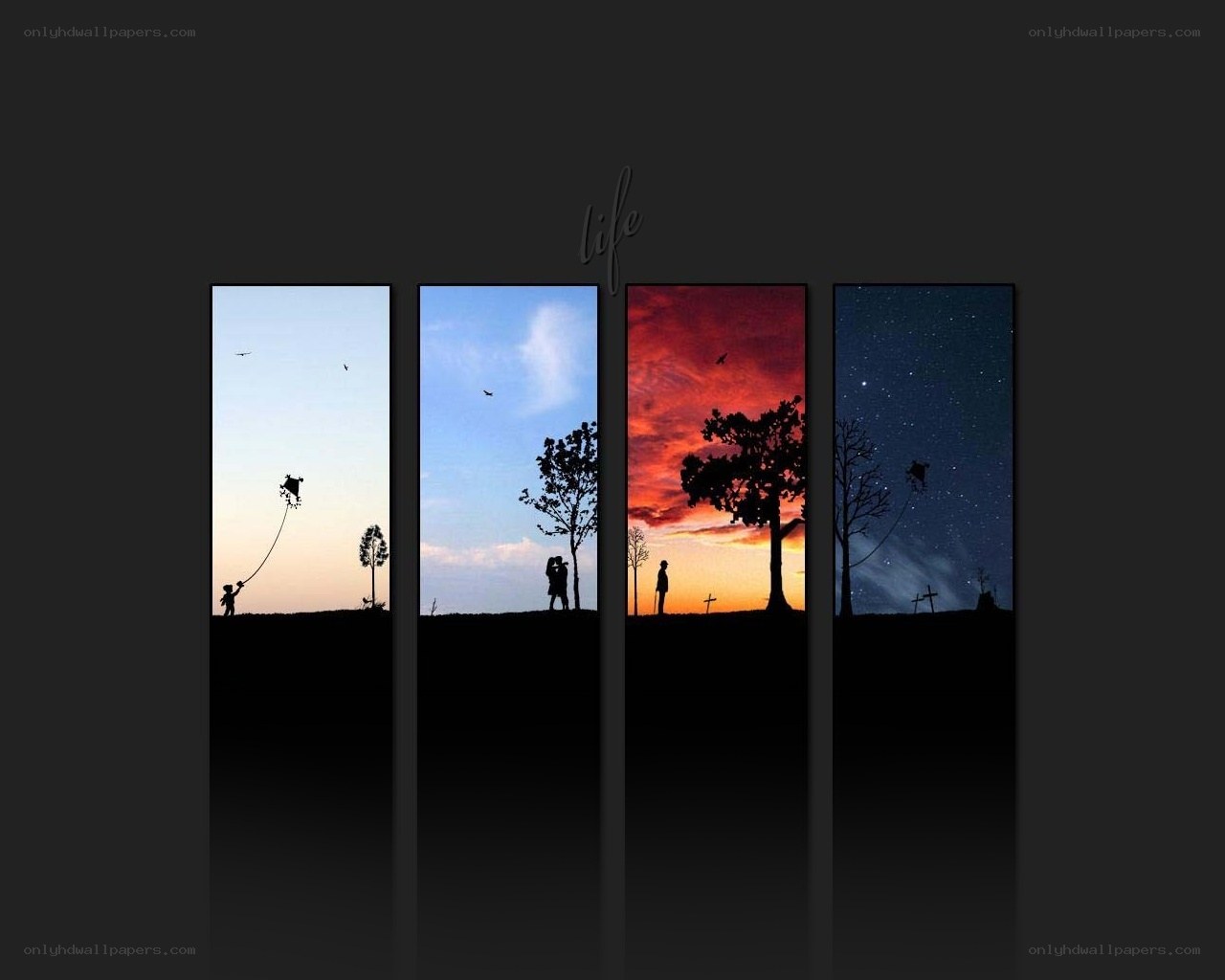 Life's journey through time