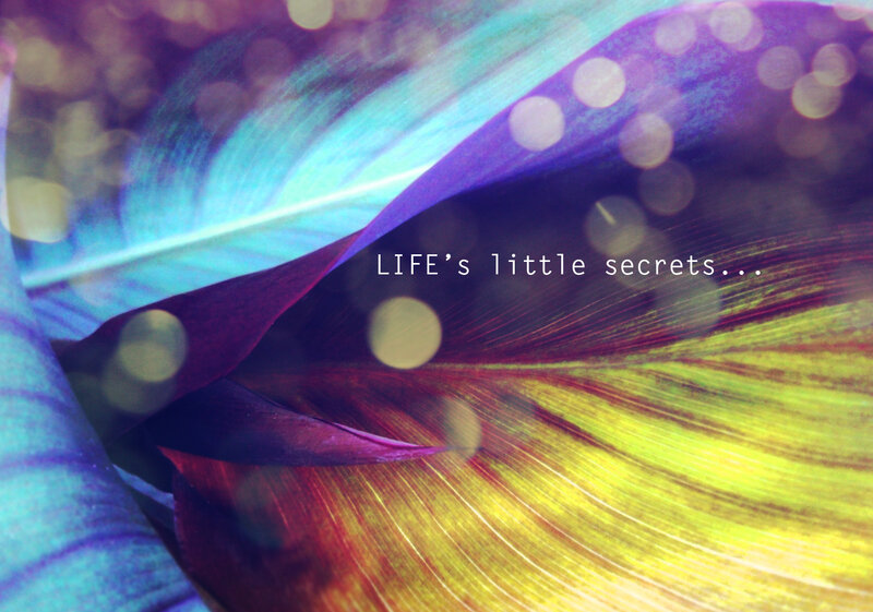 Life's little secrets