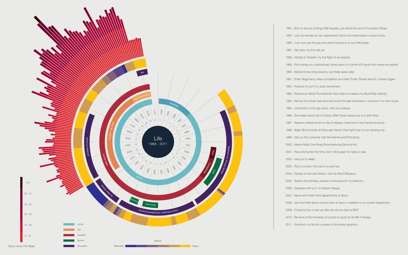 Life timeline infographic