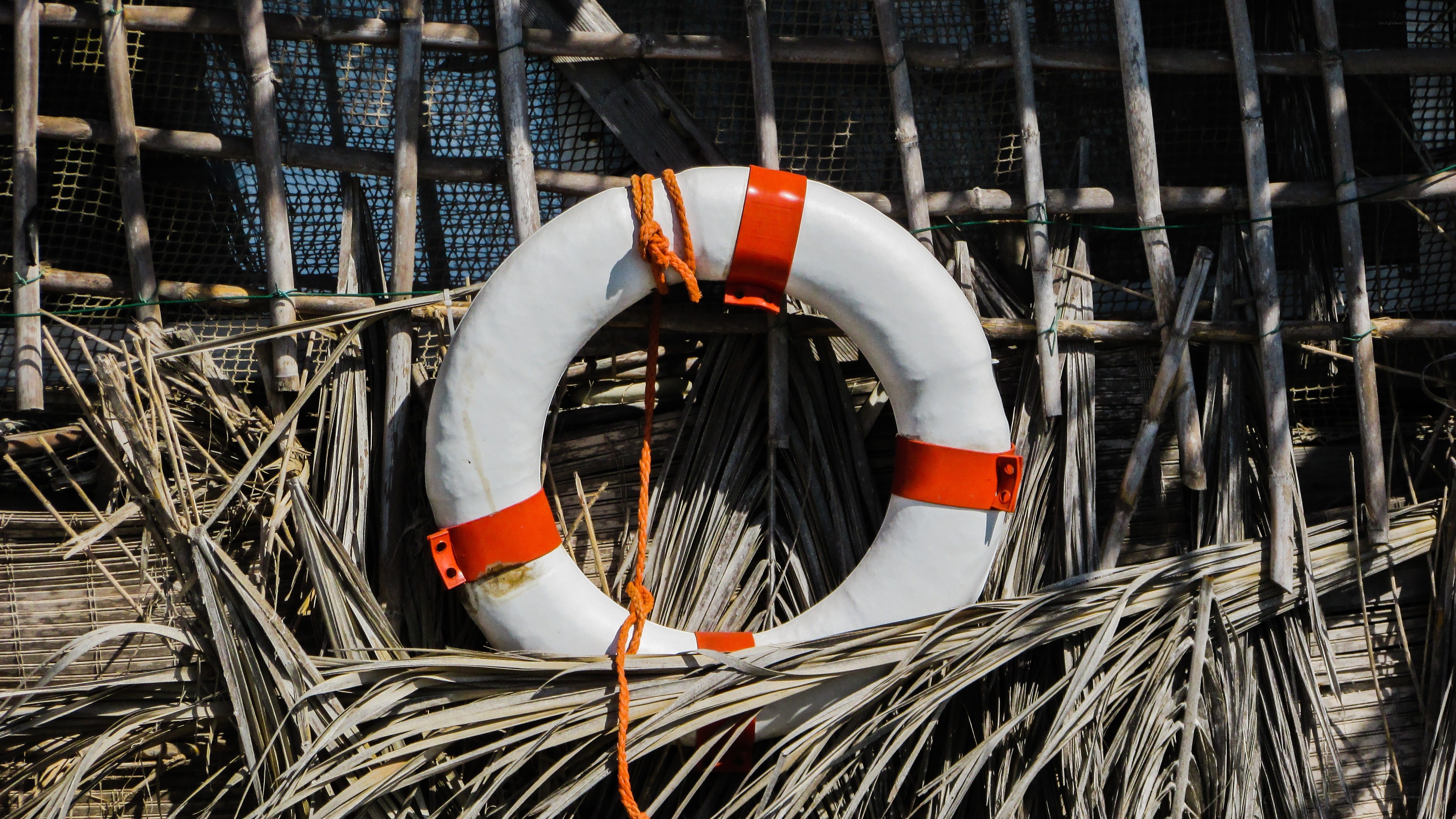 Lifebuoy on a bamboo structure