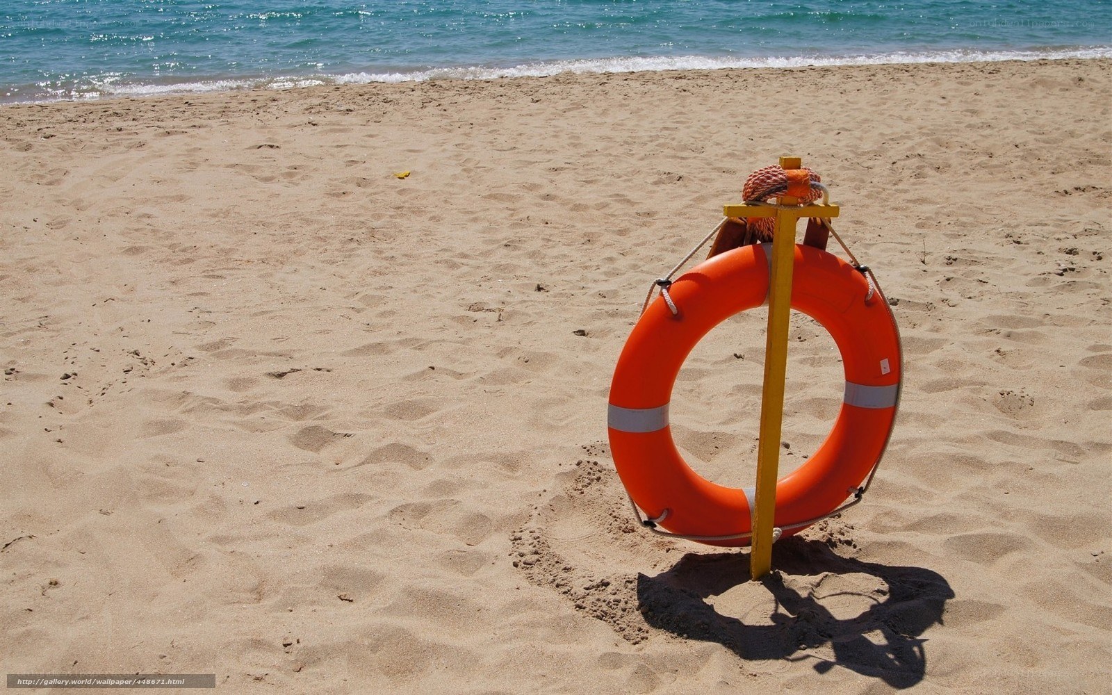 Lifebuoy on sandy beach