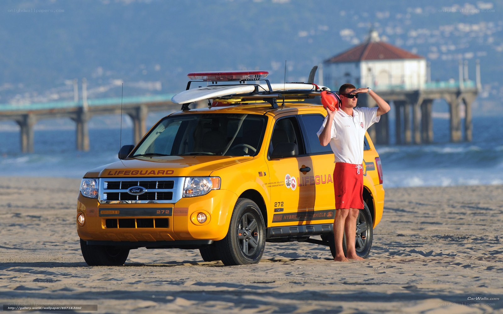 Lifeguard on the beach