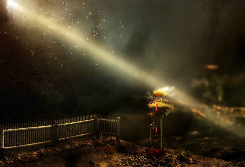 Light beam through a dark forest