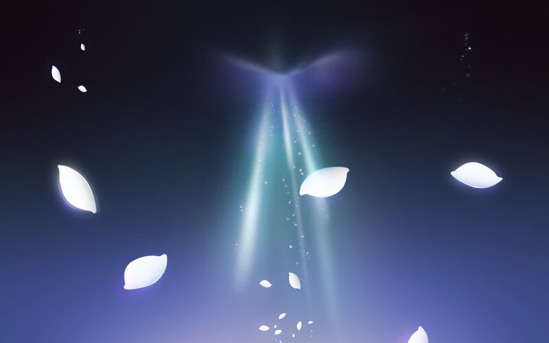 light beams and floating petals