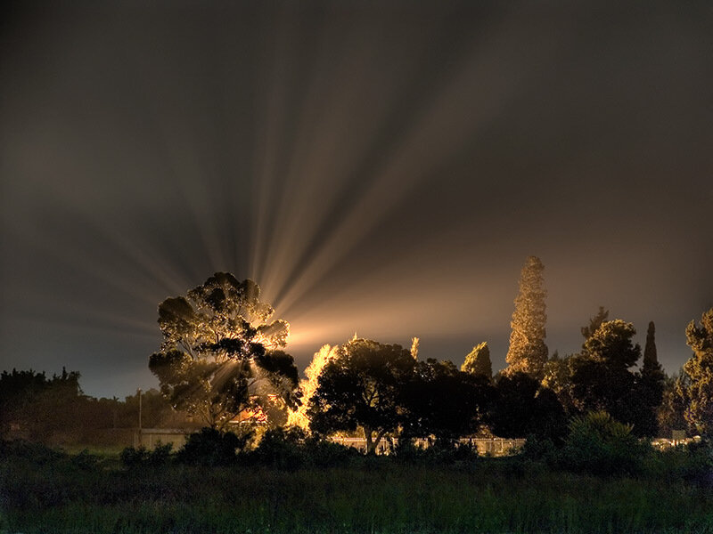 Light Beams Through Trees