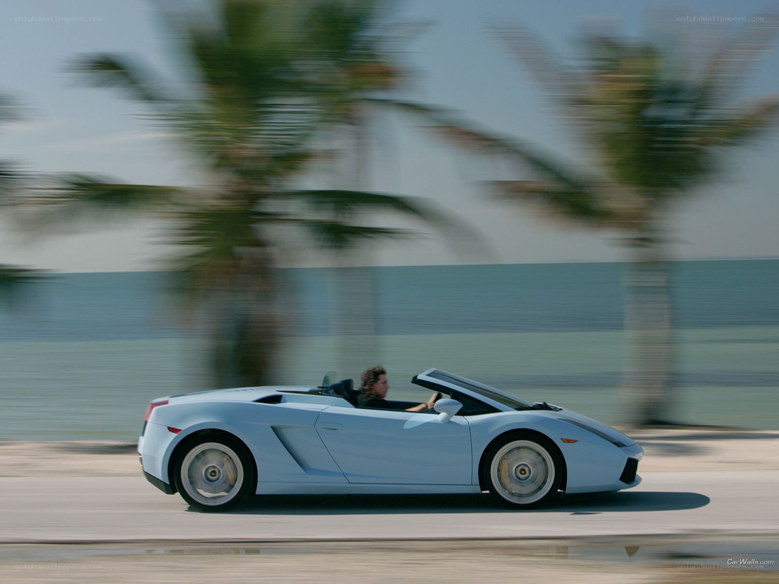 Light blue Lamborghini convertible