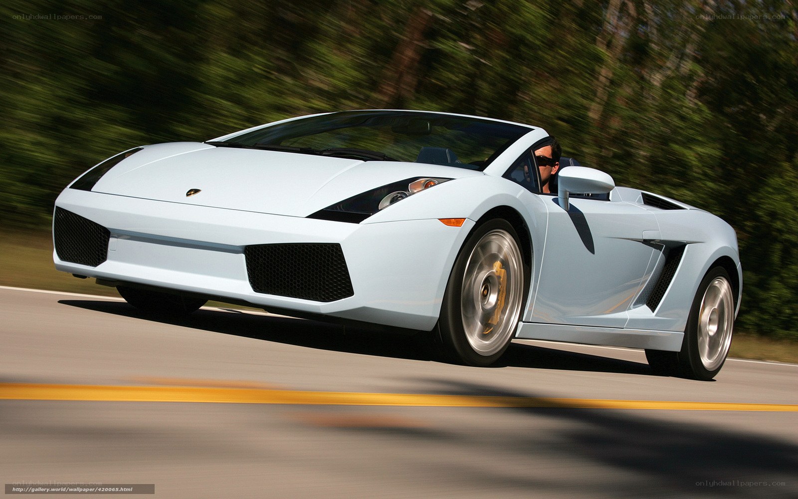 Light blue Lamborghini on road