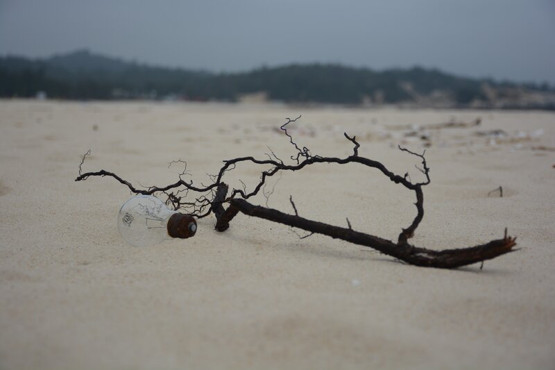 Light Bulb and Driftwood