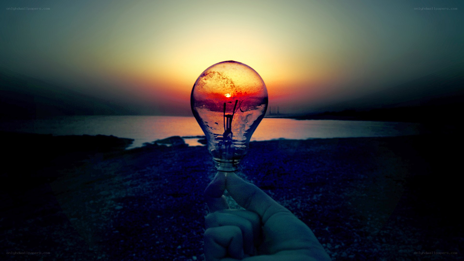 light bulb at sunset