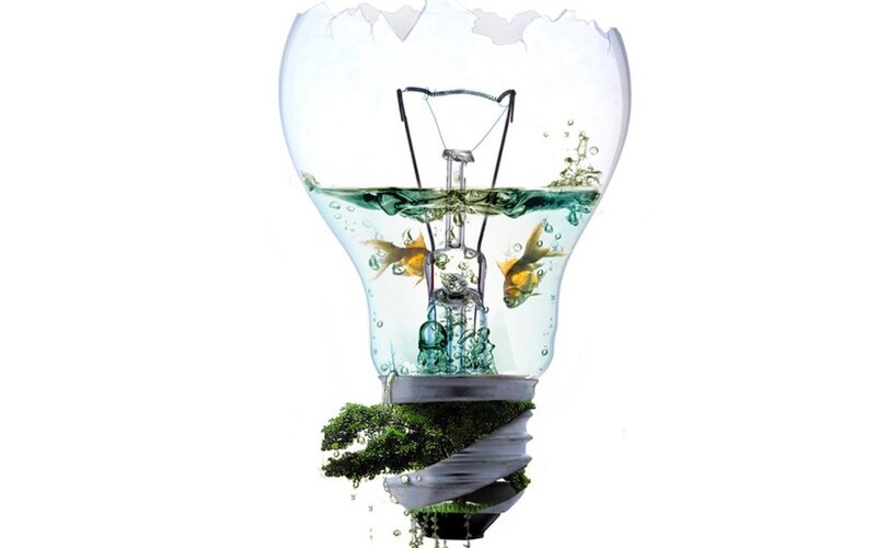 light bulb ecosystem