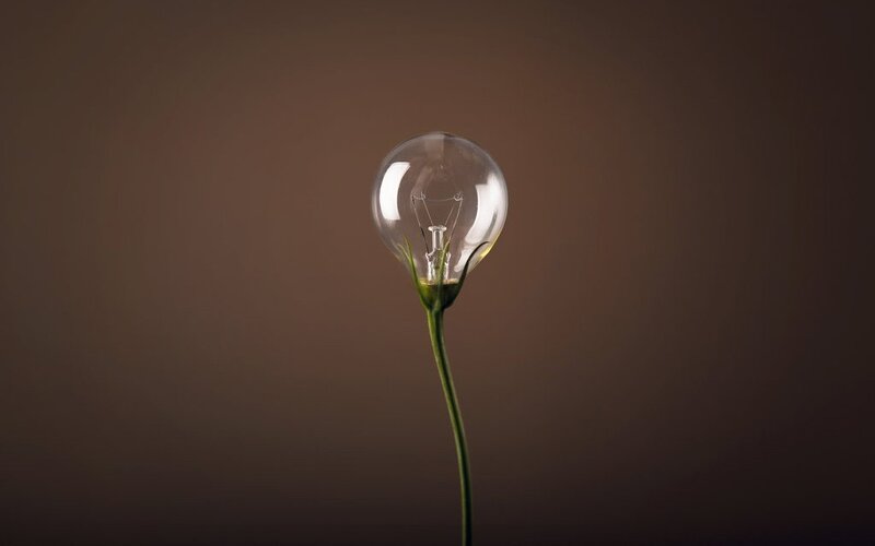 Light Bulb Flower — Brown