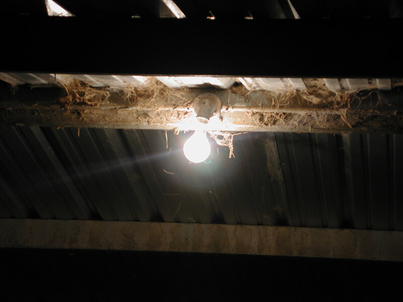 Light bulb in a dusty ceiling