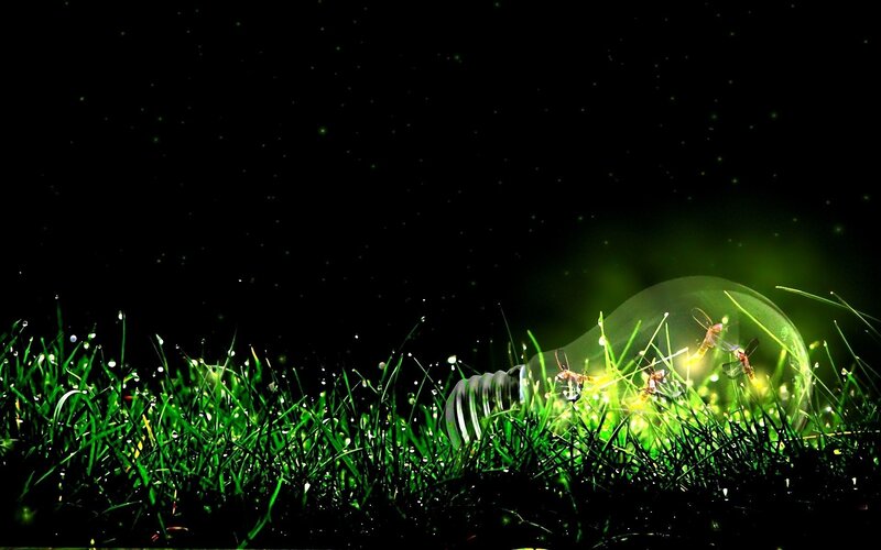 Light Bulb in Grass