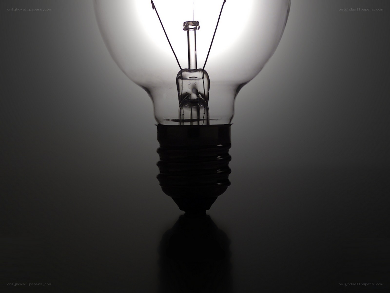 Light bulb in silhouette