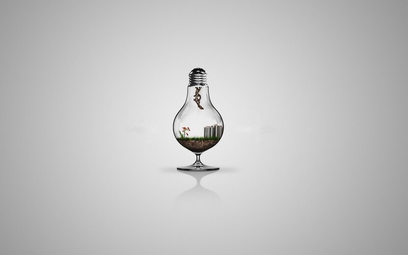Light bulb terrarium