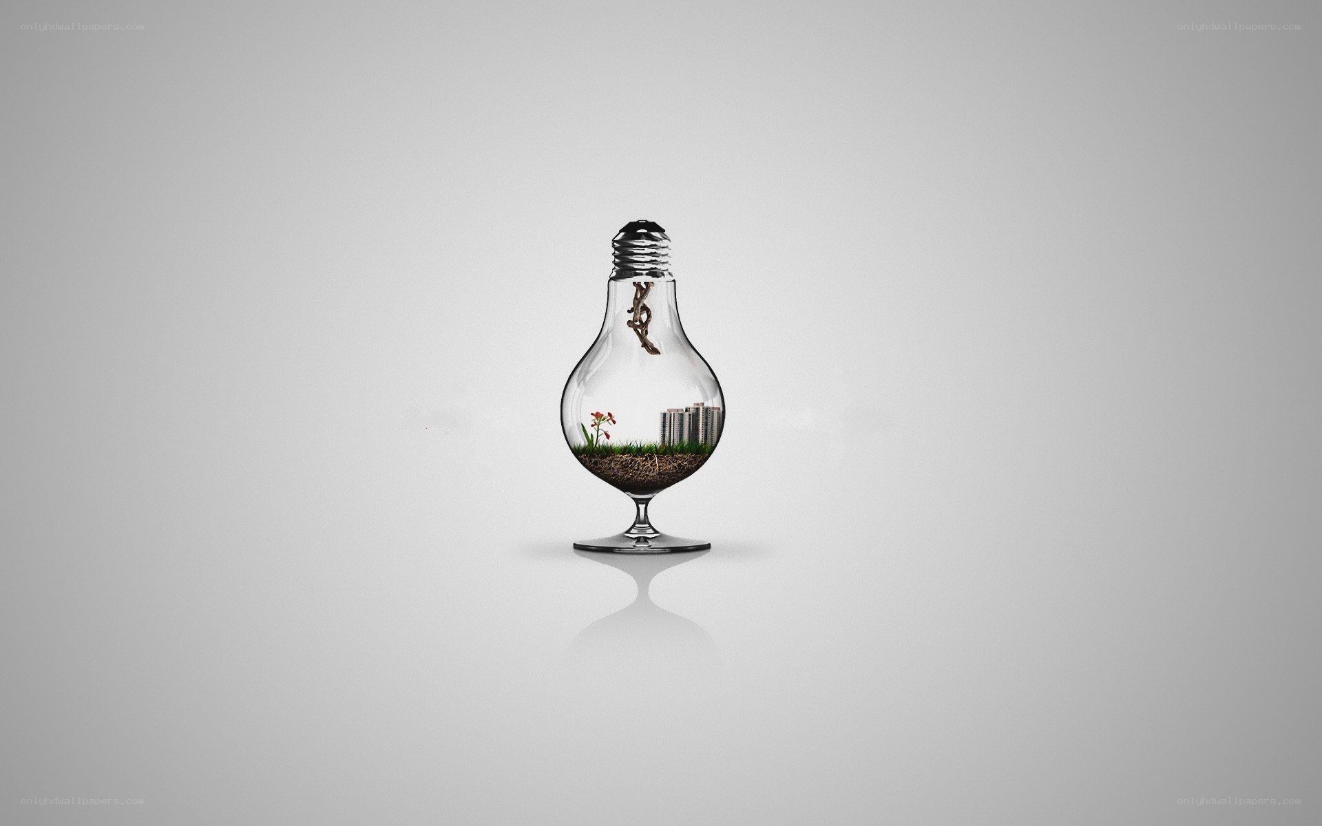 Light bulb terrarium