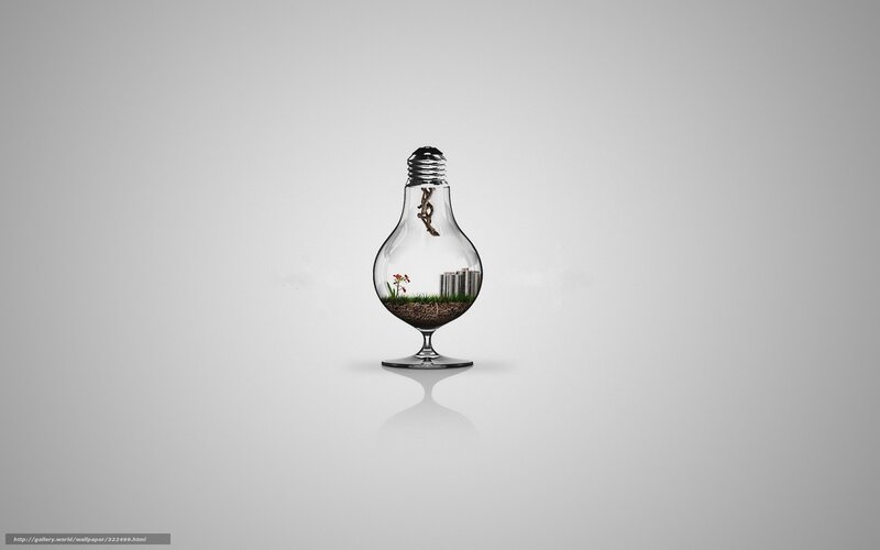 Light bulb terrarium