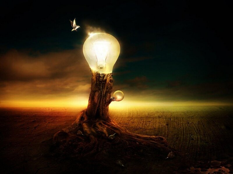 Light bulb tree at sunset