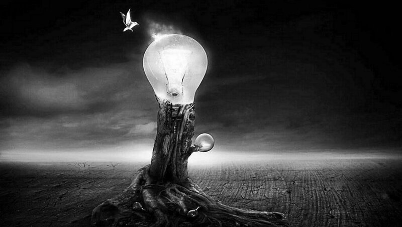 Light Bulb Tree — Black