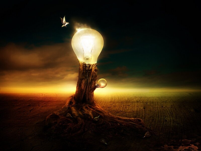 Light bulb tree in desert
