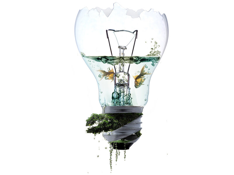 light bulb with fish and plants