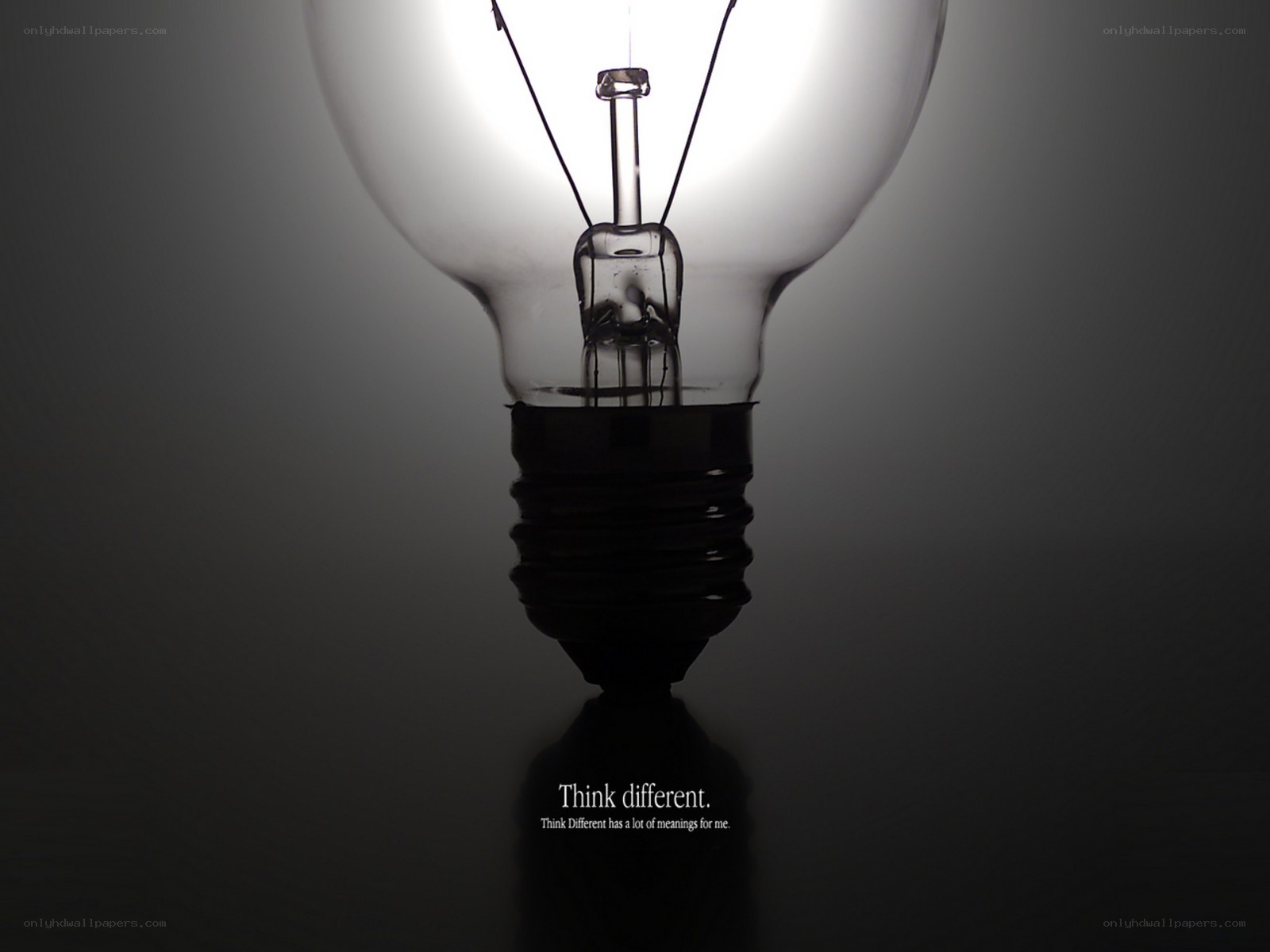 light bulb with message