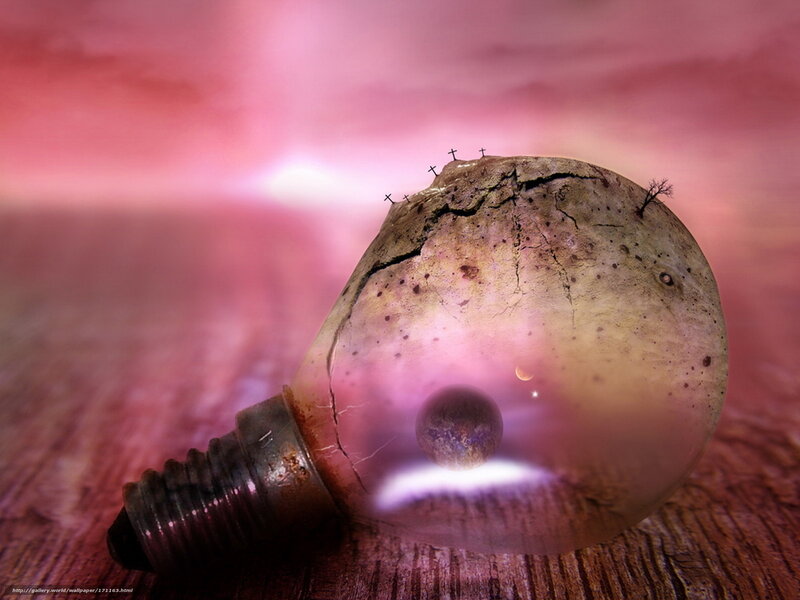 Light bulb with miniature world