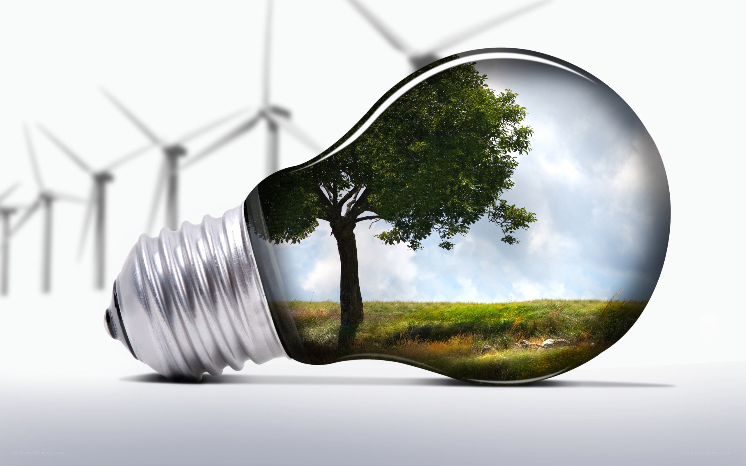 light bulb with nature scene
