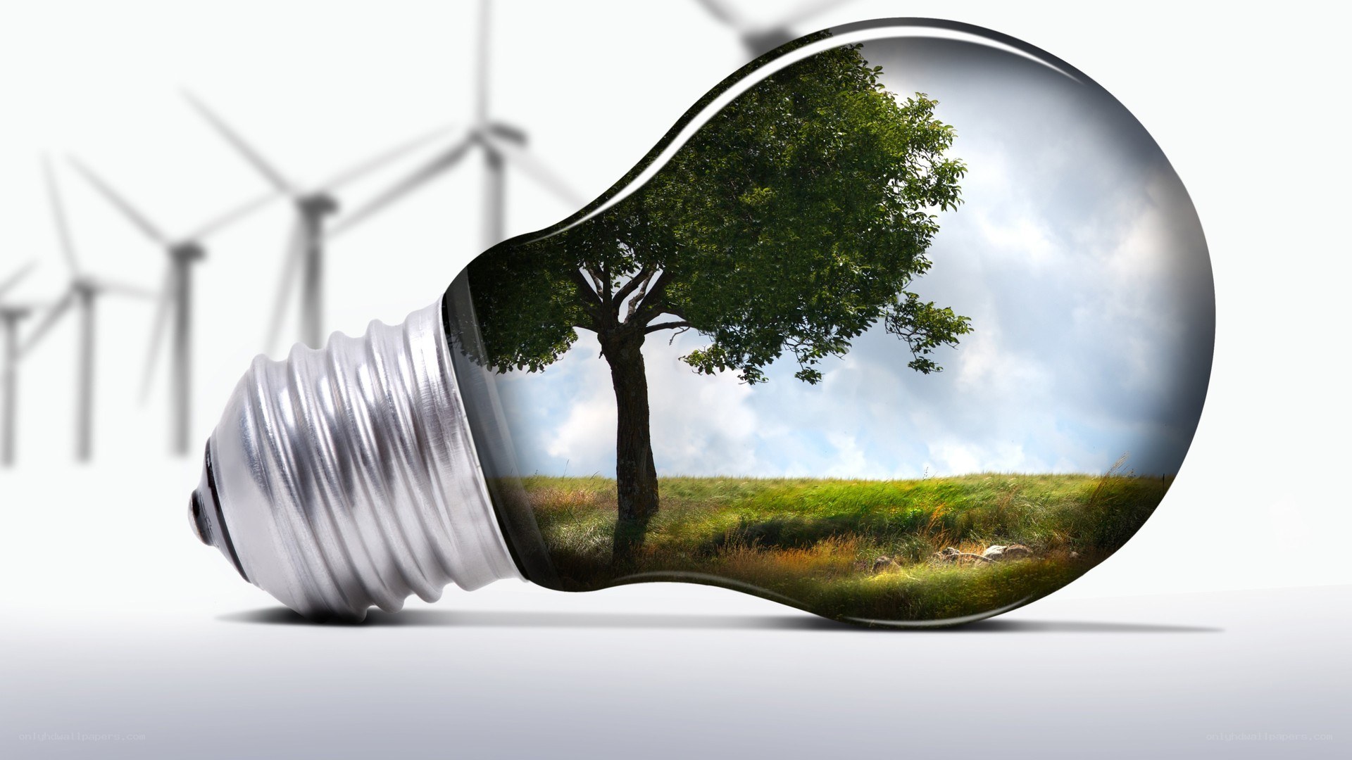 light bulb with nature scene