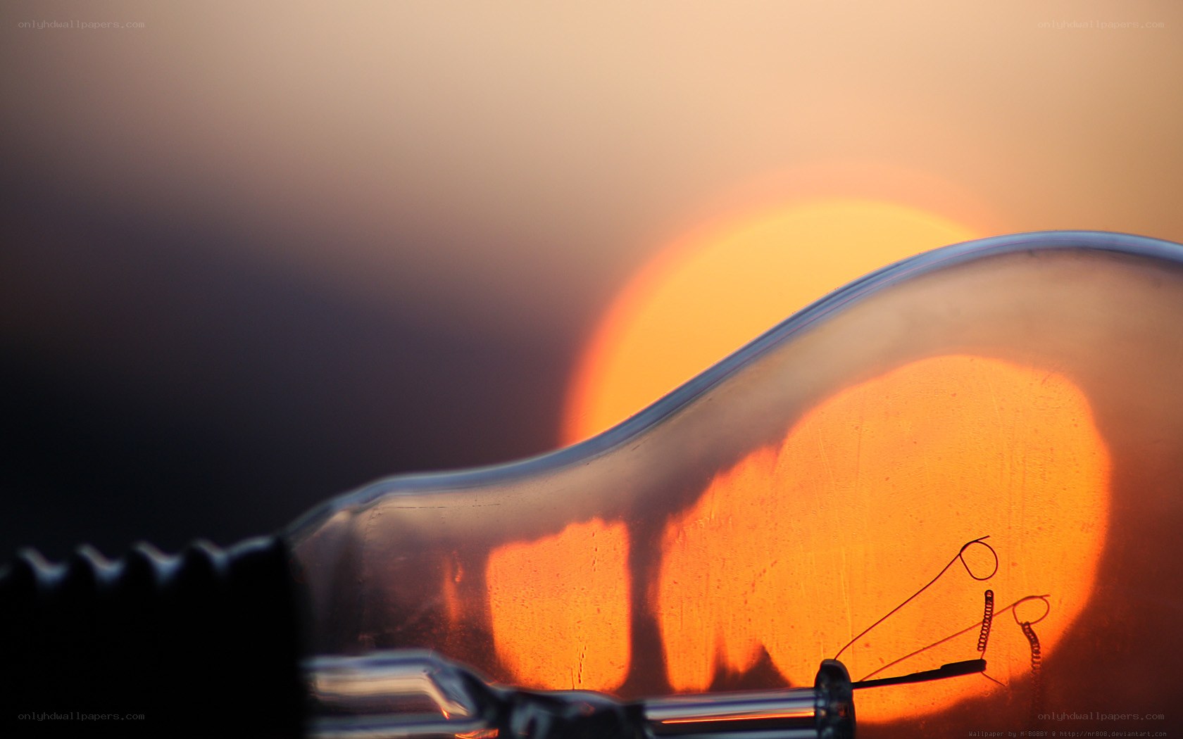 Light bulb with sunset background