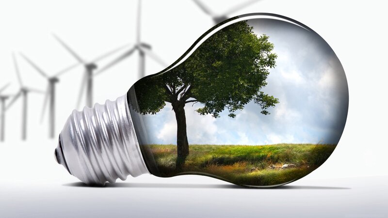 Light Bulb with Tree Scene — Digital Art