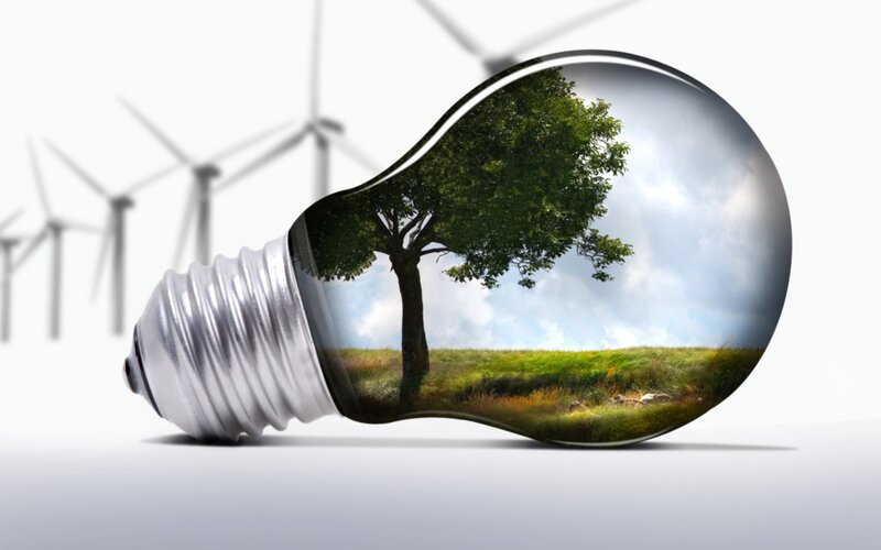 Light Bulb with Tree Scene — Green, Serene, Afternoon, Digital Art