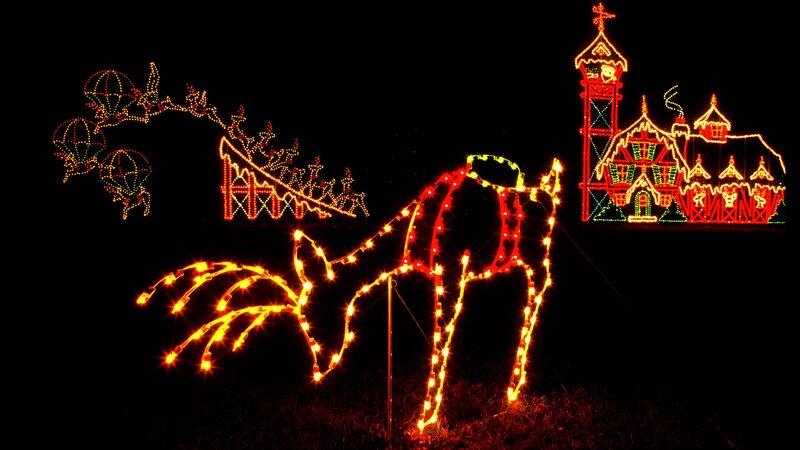 Light-decorated Reindeer