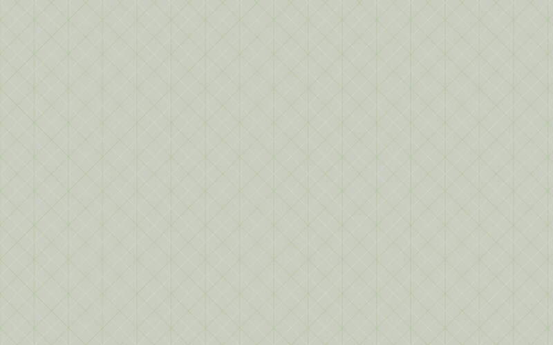 light green grid pattern