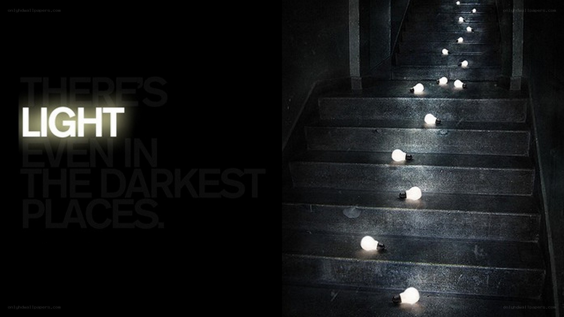 light in the darkest places