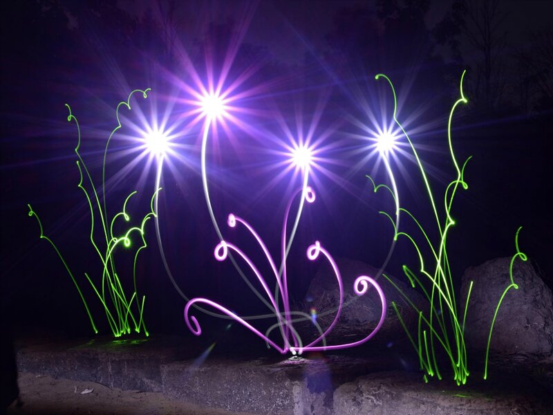 Light-painted Flowers