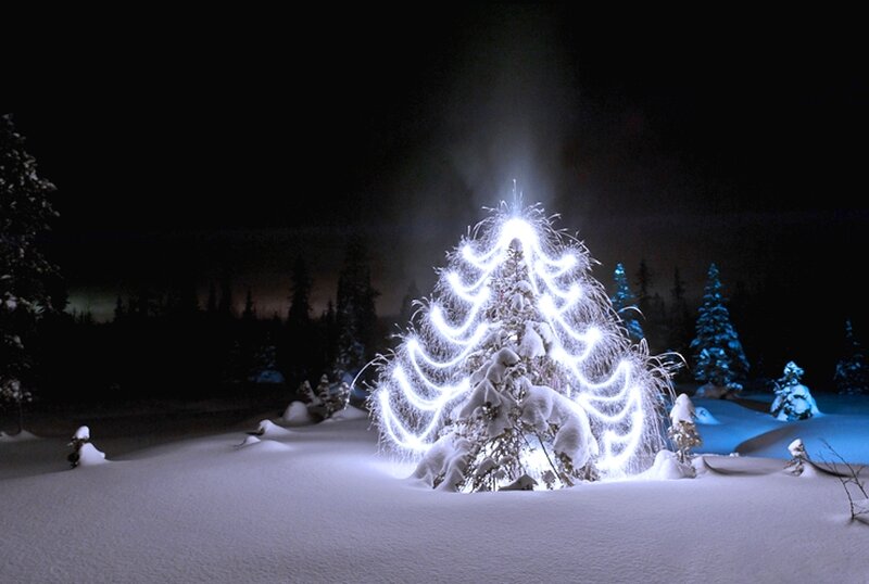 Light-painted Tree in Snow