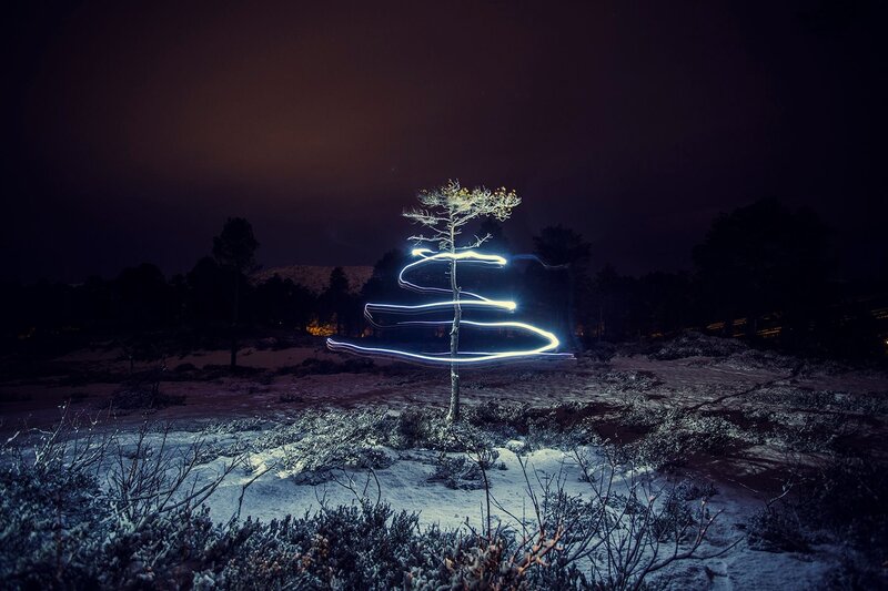 Light-painted Tree