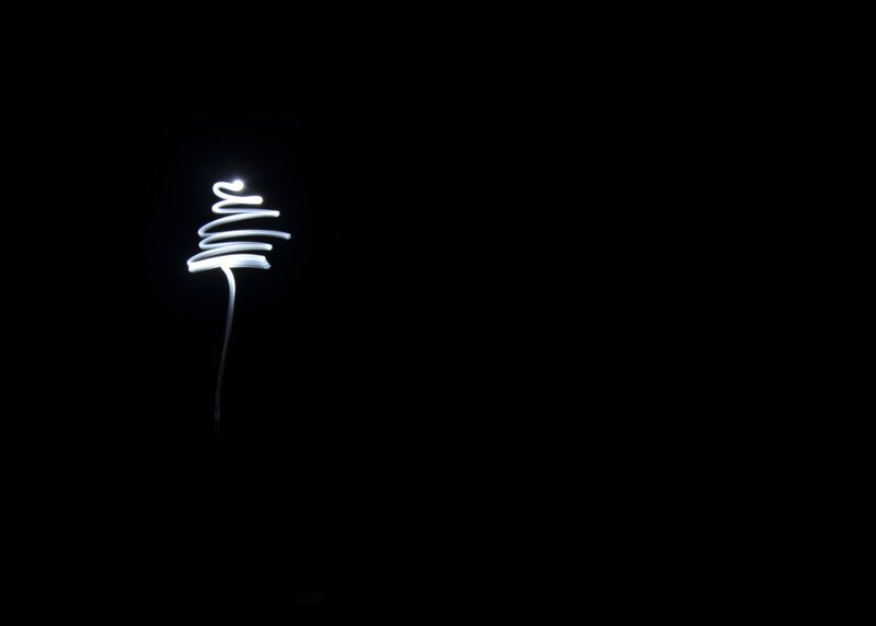 Light Painting of a Tree