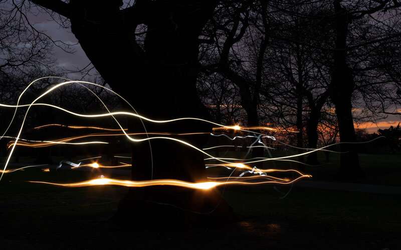 Light Trails Around Tree