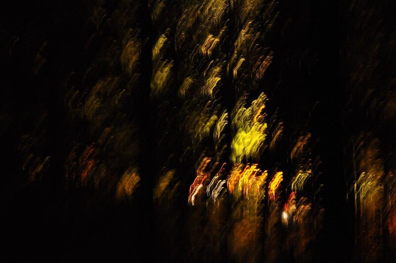Light Trails in Dark Forest