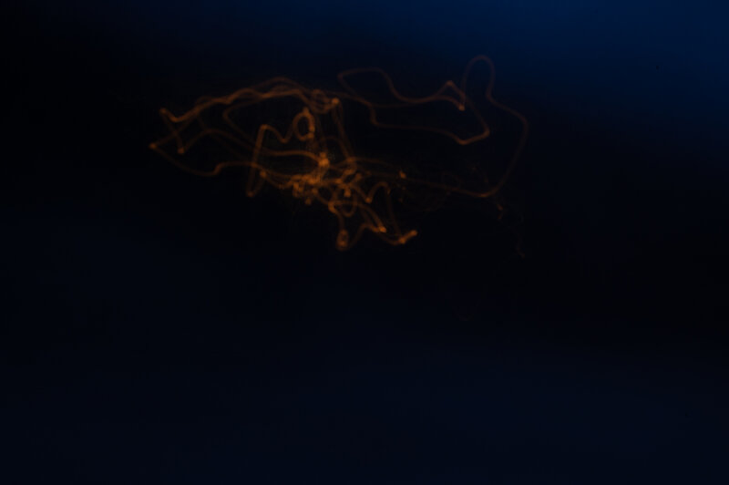 Light Trails in Dark Space — Blue, Night