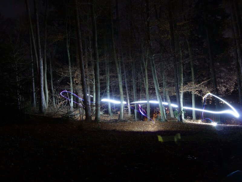 Light Trails in Forest