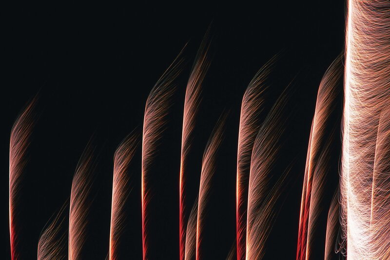 Light Trails in Night Sky — Black, Dramatic