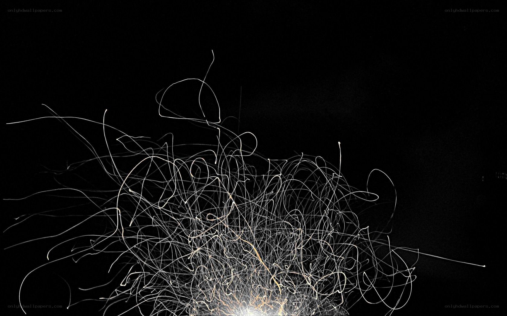 Light trails on black background