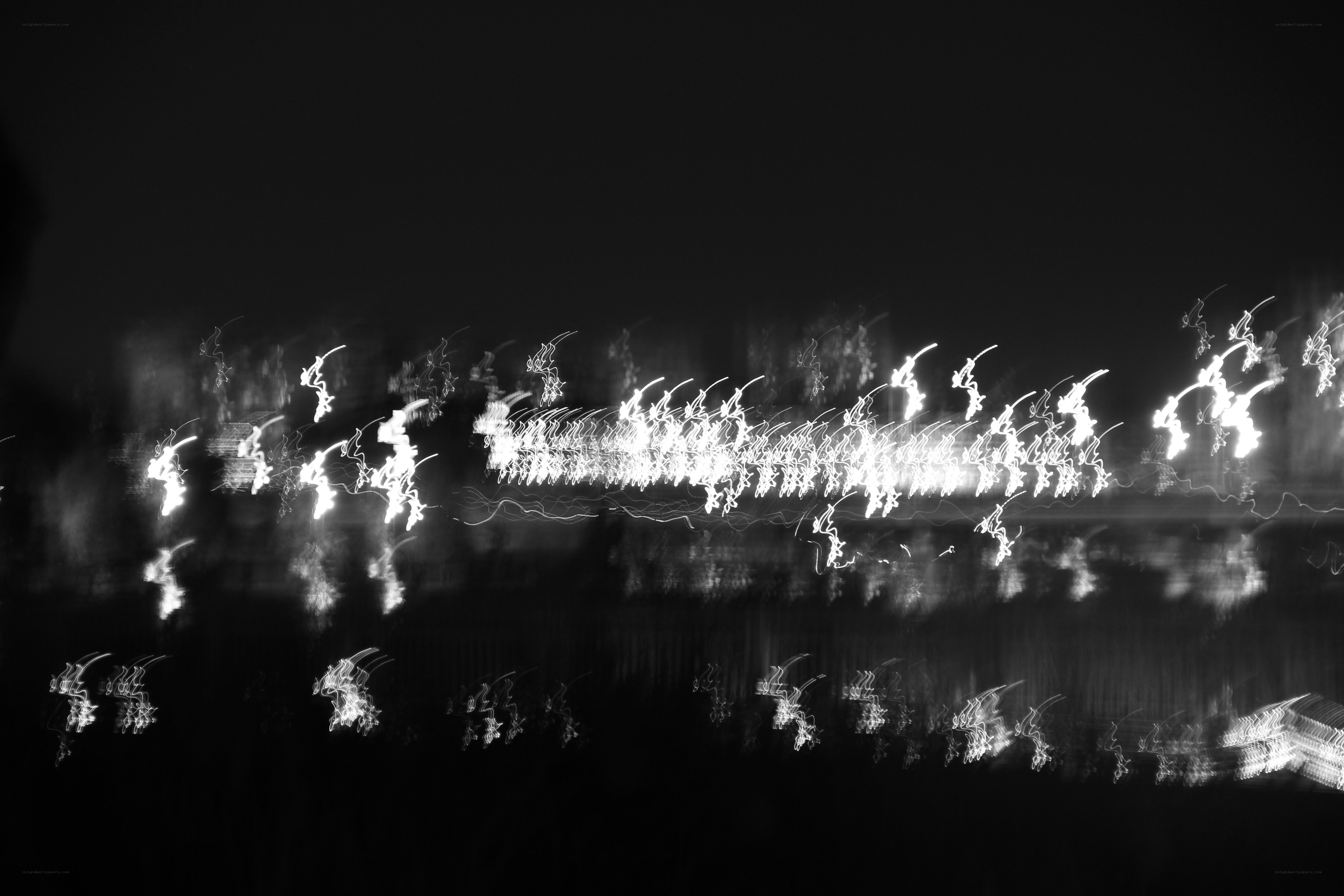 light trails on water