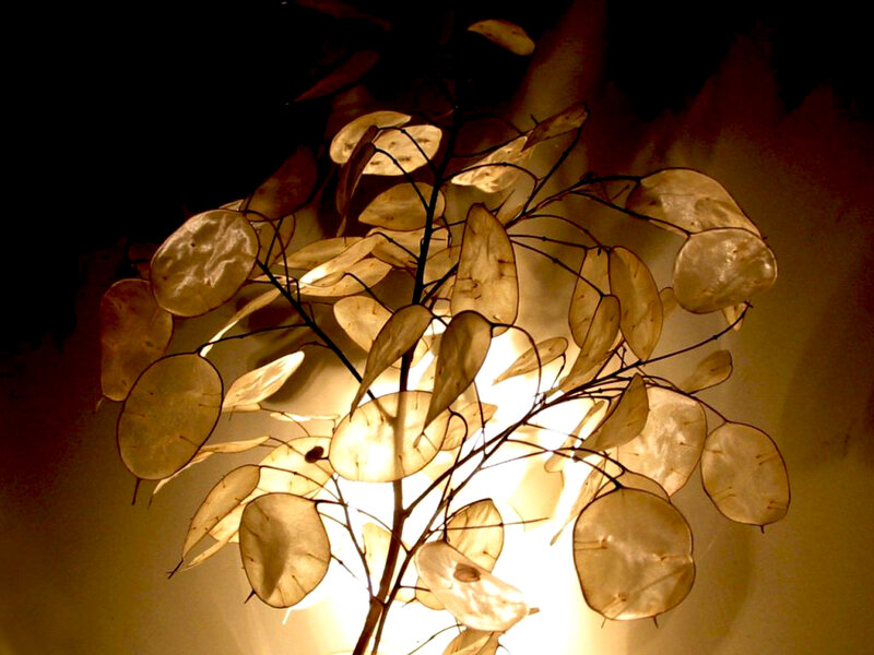 Lighted Plant Branches