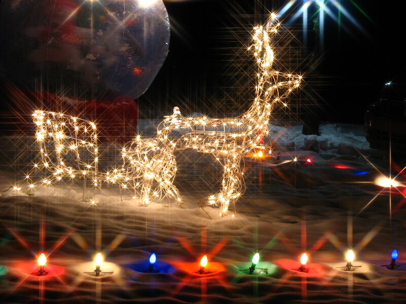 Lighted Reindeer Figure