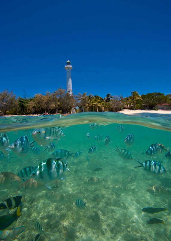 Lighthouse and fish underwater