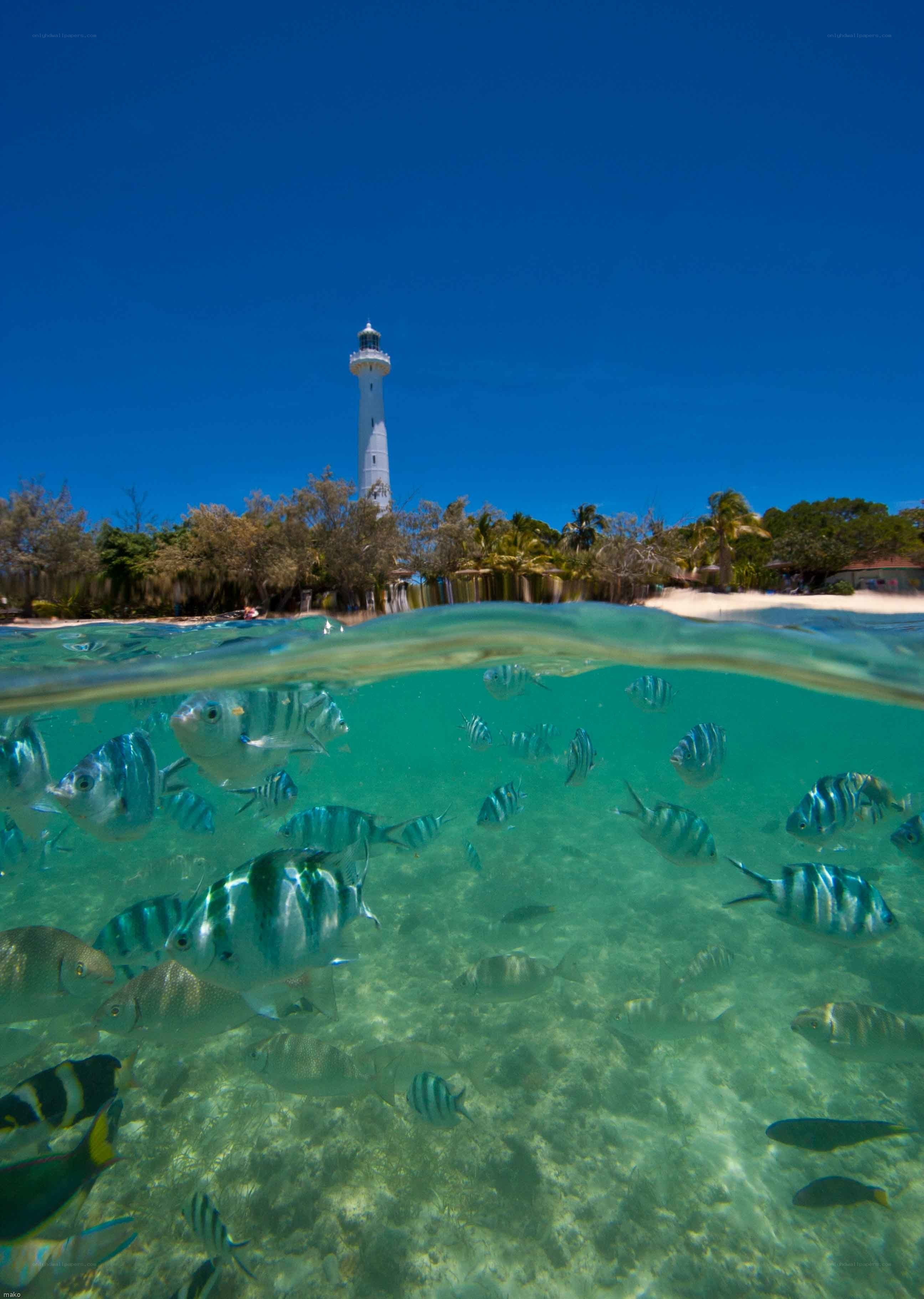 Lighthouse and fish underwater